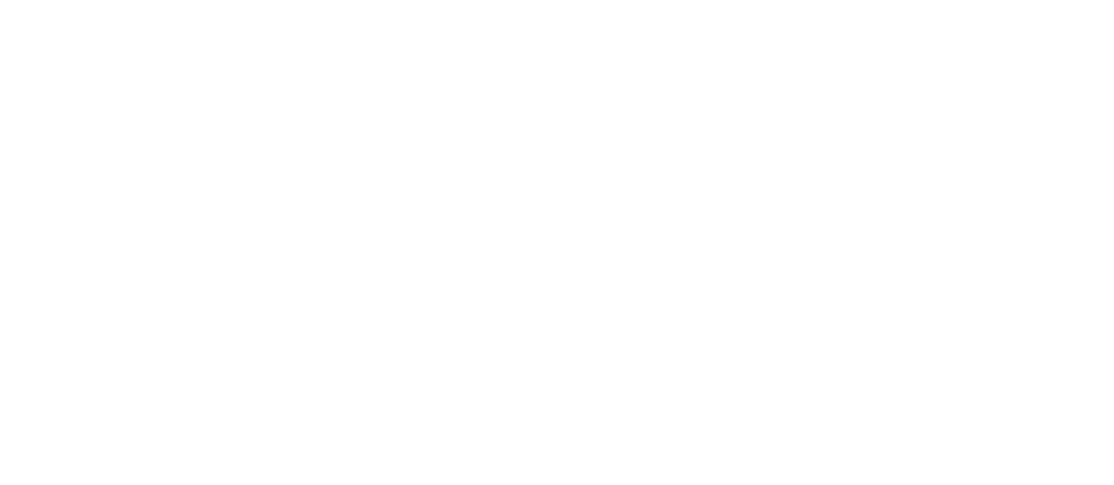 White “SINGER GROUP” logo in bold font with a swoosh and pointed arrow design above and around the text on a transparent background.