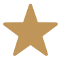 A solid gold-colored five-pointed star icon on a transparent background, perfect for representing a Singer Group's achievements.